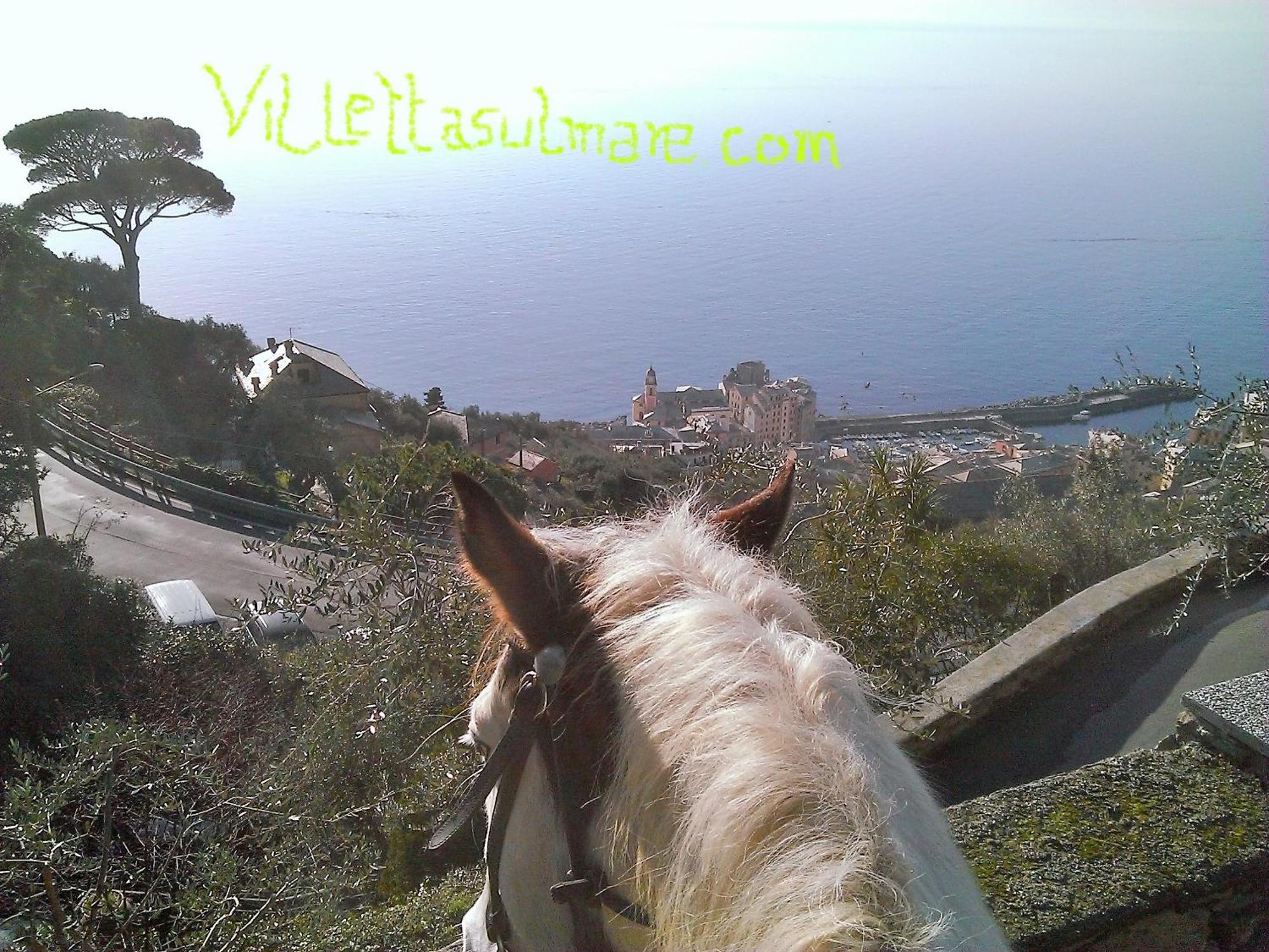 Villetta Sul Mare Camogli Exterior foto