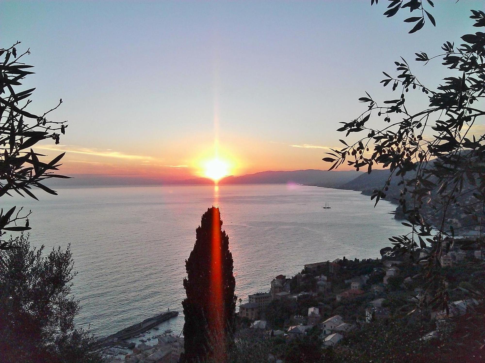Villetta Sul Mare Camogli Exterior foto